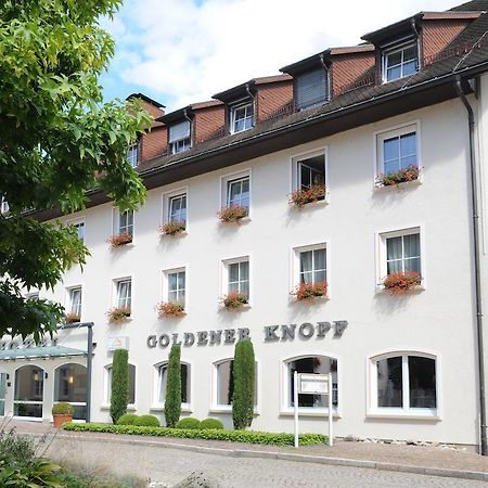 Hotel Goldener Knopf Bad Säckingen Esterno foto